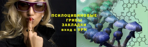 дживик Алексин
