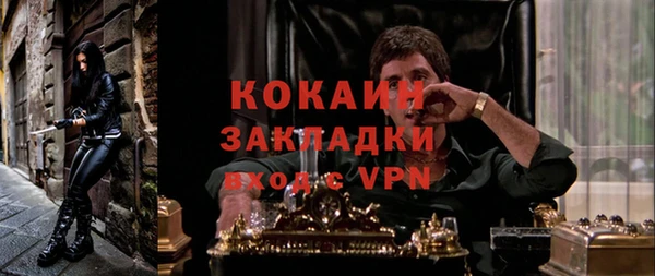 дживик Алексин