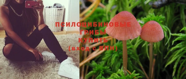дживик Алексин