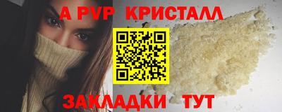 твердый Кингисепп