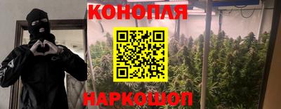 твердый Кингисепп
