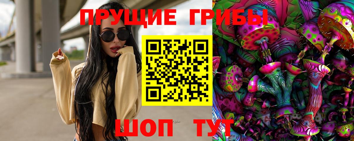 Псилоцибиновые грибы Magic Shrooms  Вход с VPN  закладка  Тамбов 