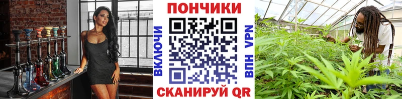 Шишки марихуана сатива  продажа наркотиков  ОМГ ОМГ рабочий сайт  Тамбов 